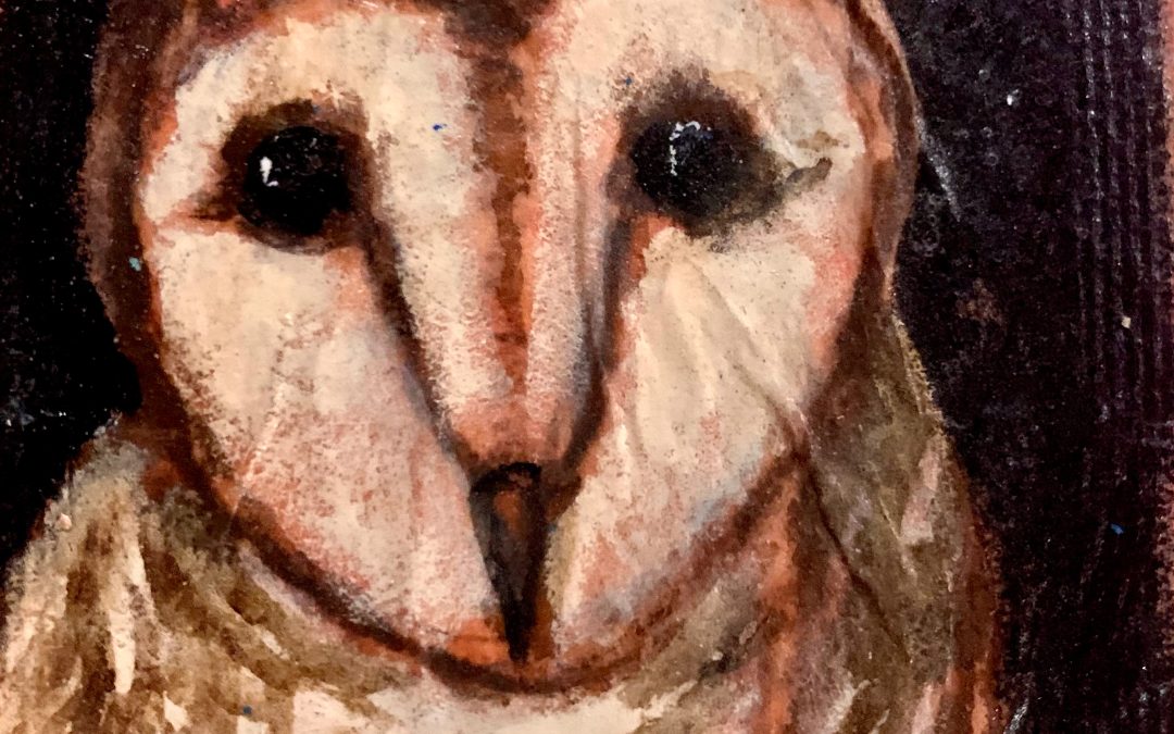 Teabag Tuesday painting of owl